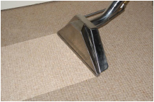 Langley Carpet Cleaning - Scotchgard